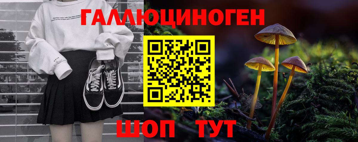 Аргун  Псилоцибиновые грибы GOLDEN TEACHER  Вход с VPN 